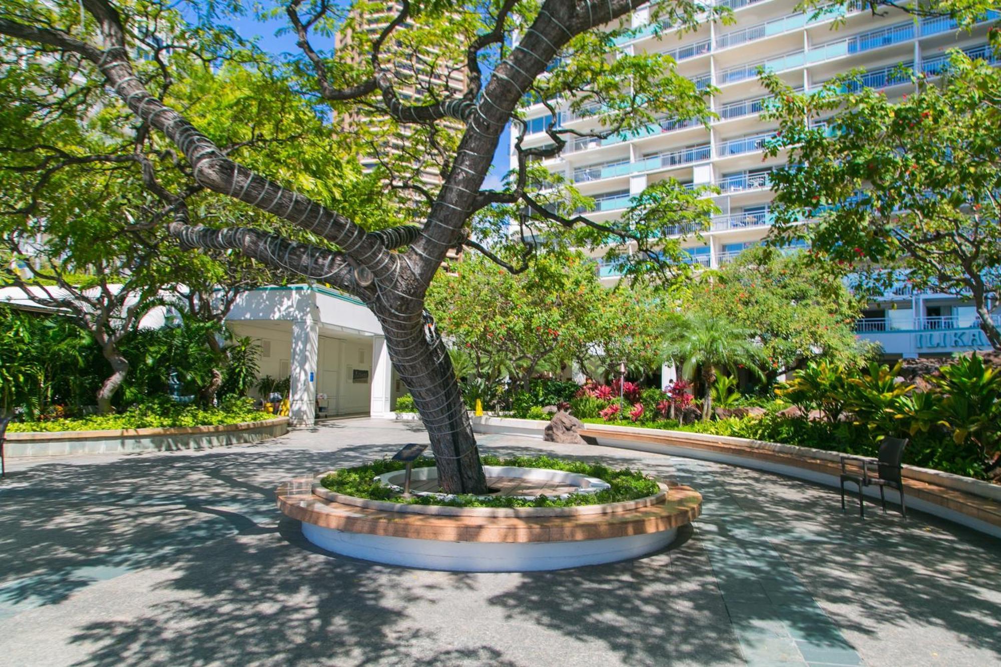 Ilikai Tower 1812 Lagoon View 1Br Honolulu Exteriör bild